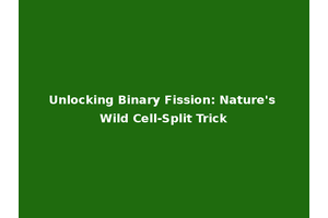 Unlocking Binary Fission: Nature's Wild Cell-Split Trick