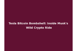 Tesla Bitcoin Bombshell: Inside Musk's Wild Crypto Ride