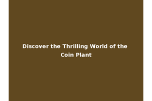 Discover the Thrilling World of the Coin Plant