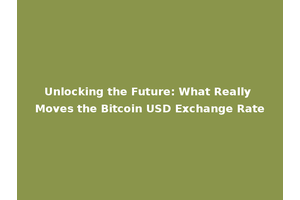 Unlocking the Future: What Really Moves the Bitcoin USD Exchange Rate