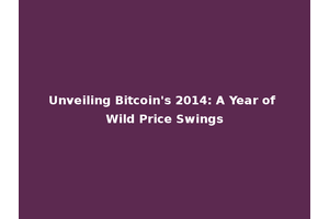 Unveiling Bitcoin's 2014: A Year of Wild Price Swings