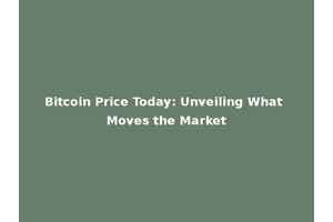 Bitcoin Price Today: Unveiling What Moves the Market