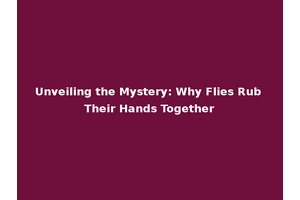 Unveiling the Mystery: Why Flies Rub Their Hands Together