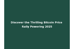 Discover the Thrilling Bitcoin Price Rally Powering 2025