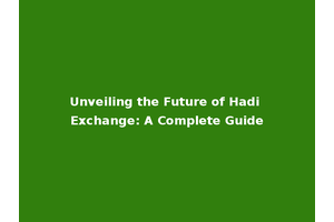 Unveiling the Future of Hadi Exchange: A Complete Guide