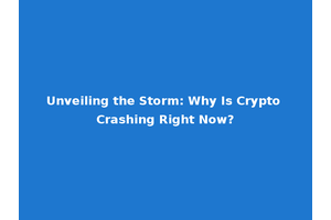 Unveiling the Storm: Why Is Crypto Crashing Right Now?