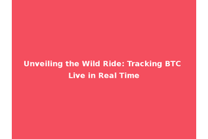 Unveiling the Wild Ride: Tracking BTC Live in Real Time