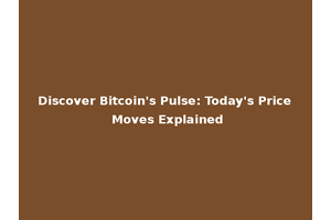 Discover Bitcoin's Pulse: Today's Price Moves Explained