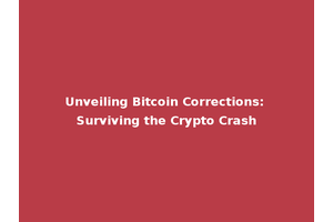 Unveiling Bitcoin Corrections: Surviving the Crypto Crash