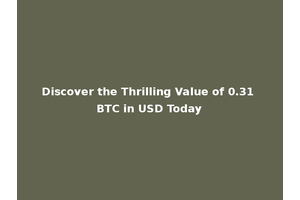 Discover the Thrilling Value of 0.31 BTC in USD Today