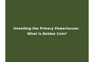 Unveiling the Privacy Powerhouse: What Is Beldex Coin?