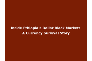 Inside Ethiopia's Dollar Black Market: A Currency Survival Story