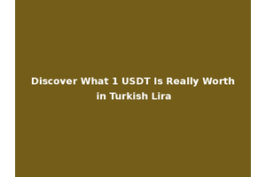 Discover What 1 USDT Is Really Worth in Turkish Lira