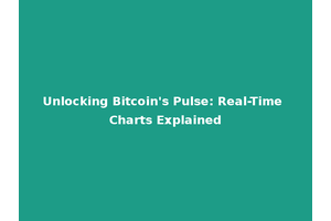 Unlocking Bitcoin's Pulse: Real-Time Charts Explained