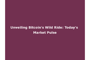 Unveiling Bitcoin's Wild Ride: Today's Market Pulse