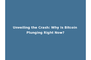 Unveiling the Crash: Why Is Bitcoin Plunging Right Now?