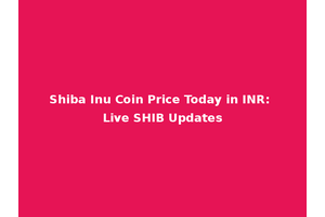 Shiba Inu Coin Price Today in INR: Live SHIB Updates