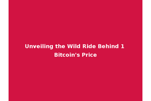 Unveiling the Wild Ride Behind 1 Bitcoin's Price