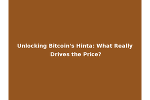 Unlocking Bitcoin's Hinta: What Really Drives the Price?