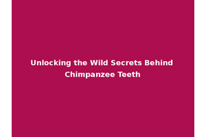 Unlocking the Wild Secrets Behind Chimpanzee Teeth